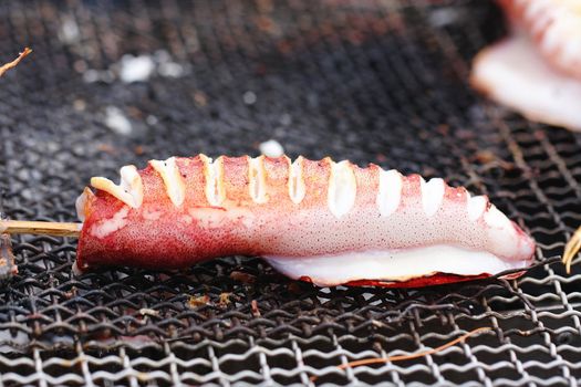 Squid grilled on charcoal