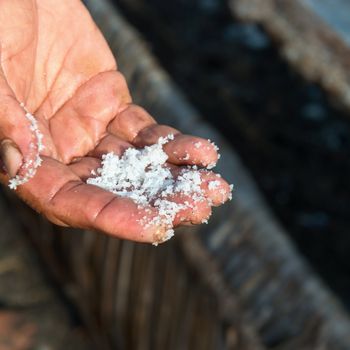 Male worker's hand with fresh extracted white sea salt