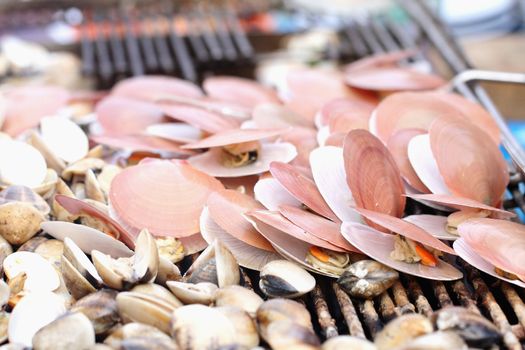 Shellfish grilled on the stove