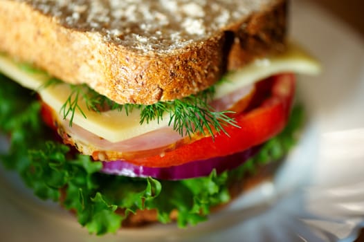 Close up of sandwich. Shalow DOF. Selective focus.