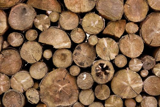 Pile of logs cut for firewood