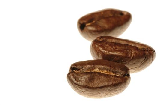 Three coffee beans on white