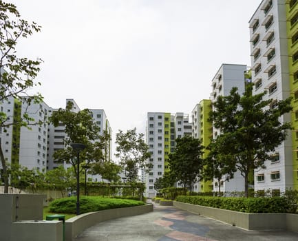 A park leading to a green estate in Singapore. 