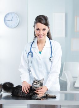 Portrait of a beautiful Veterinarian doctor with a cute cat