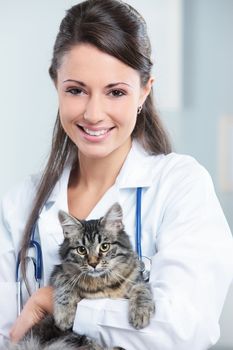 Female veterinarian holding a cat after an examination