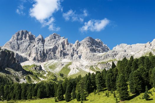 Cresta de Davoi, panoramic view from Vajolet Valley, Dolomite - Italy