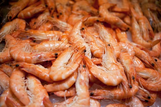 Shrimps on a shop counter