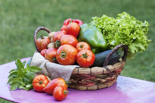 Vegetables on a table in a garden under the sunlight