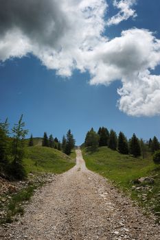 a mountain trail leads straight to the top