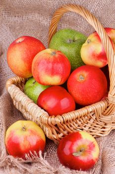 Arrangement of Various Ripe Autumn Apples in Wicker Basket on Sack cloth background 