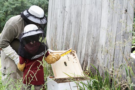 Father and daughter working on bee hive together.