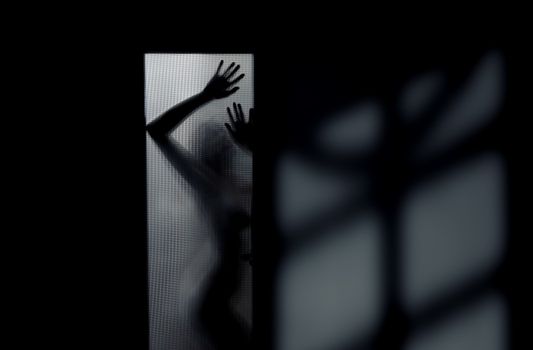 Silhouette of the sexy woman behind the glass door. Interior with deep shadows