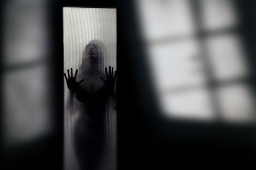 Silhouette of the female alien behind the glass door in the dark interior with shadows