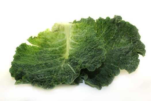 a fresh green savoy cabbage on white background