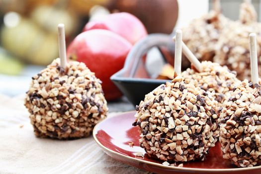 Apples dipped in caramel, chocolate chips and nuts with selective focus on center apple with extreme shallow depth of field.