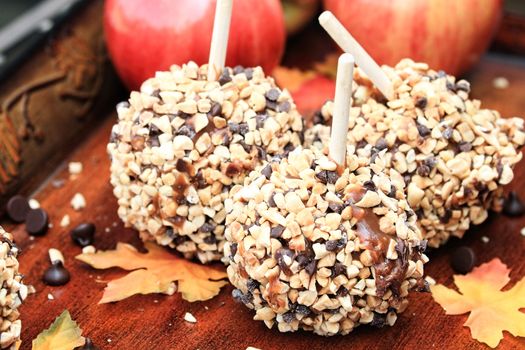 Apples dipped in caramel, chocolate chips and nuts with autumn leaves.