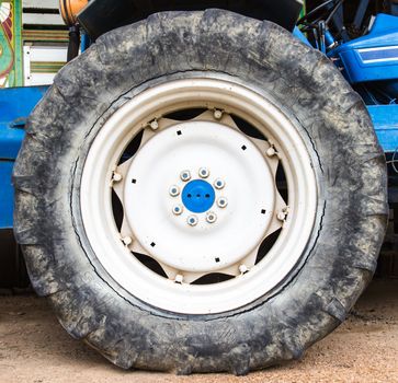 Old  wheel tractors.