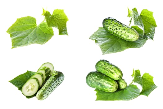 Collage (collection )of Cucumbers on white background with green leaf and. Isolated over white.