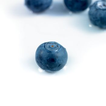 blueberries isolated on a white background