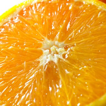 close-up of an orange isolated on a white background