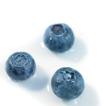 blueberries isolated on a white background