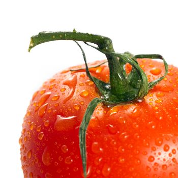close-up of a red tomato isolated on a white background