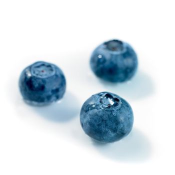 blueberries isolated on a white background