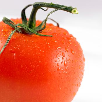 close-up of a red tomato isolated on a white background