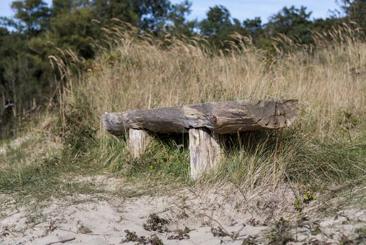 old ancient bench in the forst to sit and rest
