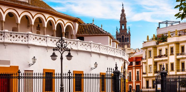 Bull Fight Ring Stadium Cityscape Giralda Spire Bell Tower, Seville Cathedral Andalusia Spain