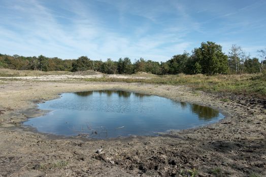 small water in nature neardutch place  rockanje
