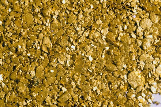 background gold glitter river very close