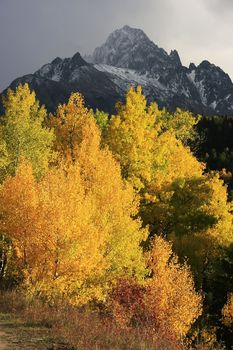 Mount Sneffels Range, Colorado, USA