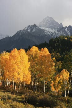 Mount Sneffels Range, Colorado, USA