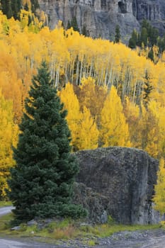 Yankee Boy Basin, Mount Sneffels wilderness, Colorado, USA