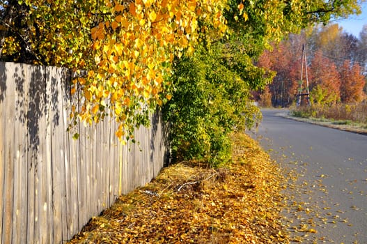 Golden autumn, old fence and road...