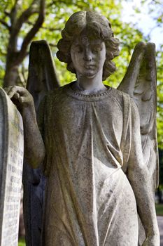 An Angel statue in a London graveyard.