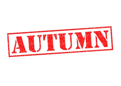 AUTUMN Rubber Stamp over a white background.