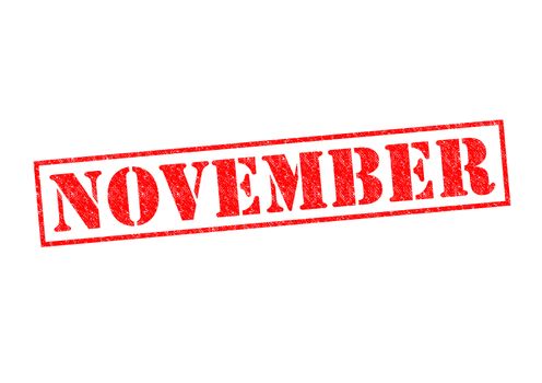 NOVEMBER Rubber Stamp over a white background.