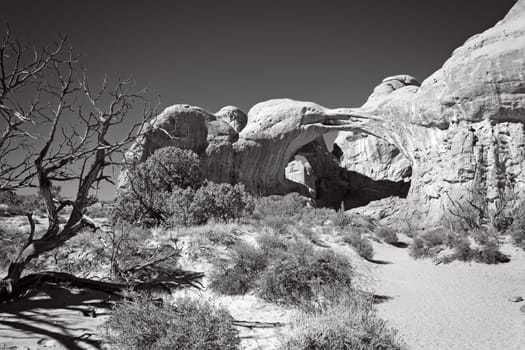 This black and white image shows a set of double arches at Arches National Park in Utah.