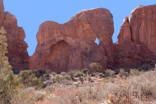 This incredible formation at Arches National Park looks distinctly like an elephant.
