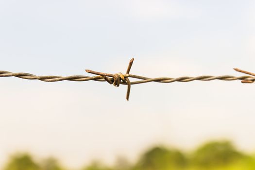 Barbed wire and blue sky