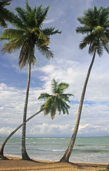 Las Terrenas beach, Samana peninsula, Dominican Republic