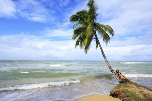 Leaning palm tree at Las Terrenas beach, Samana peninsula, Dominican Republic