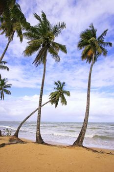 Las Terrenas beach, Samana peninsula, Dominican Republic