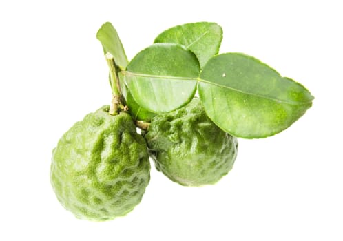 Kaffir Lime or Bergamot fruit isolated on white background