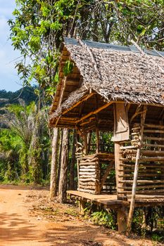 hut on the road in the jungle with palm trees on the  Phuket in Thailand