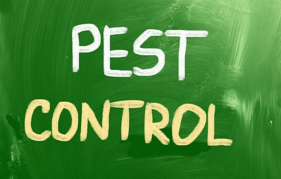 Pest Control Concept