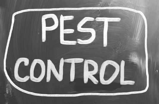 Pest Control Concept