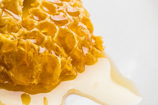 still life with pieces of a honeycomb with honey
